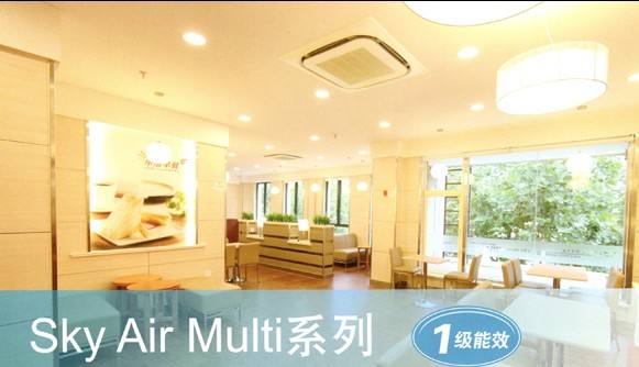 大金商用變頻多聯(lián)中央空調(diào)SkyAir